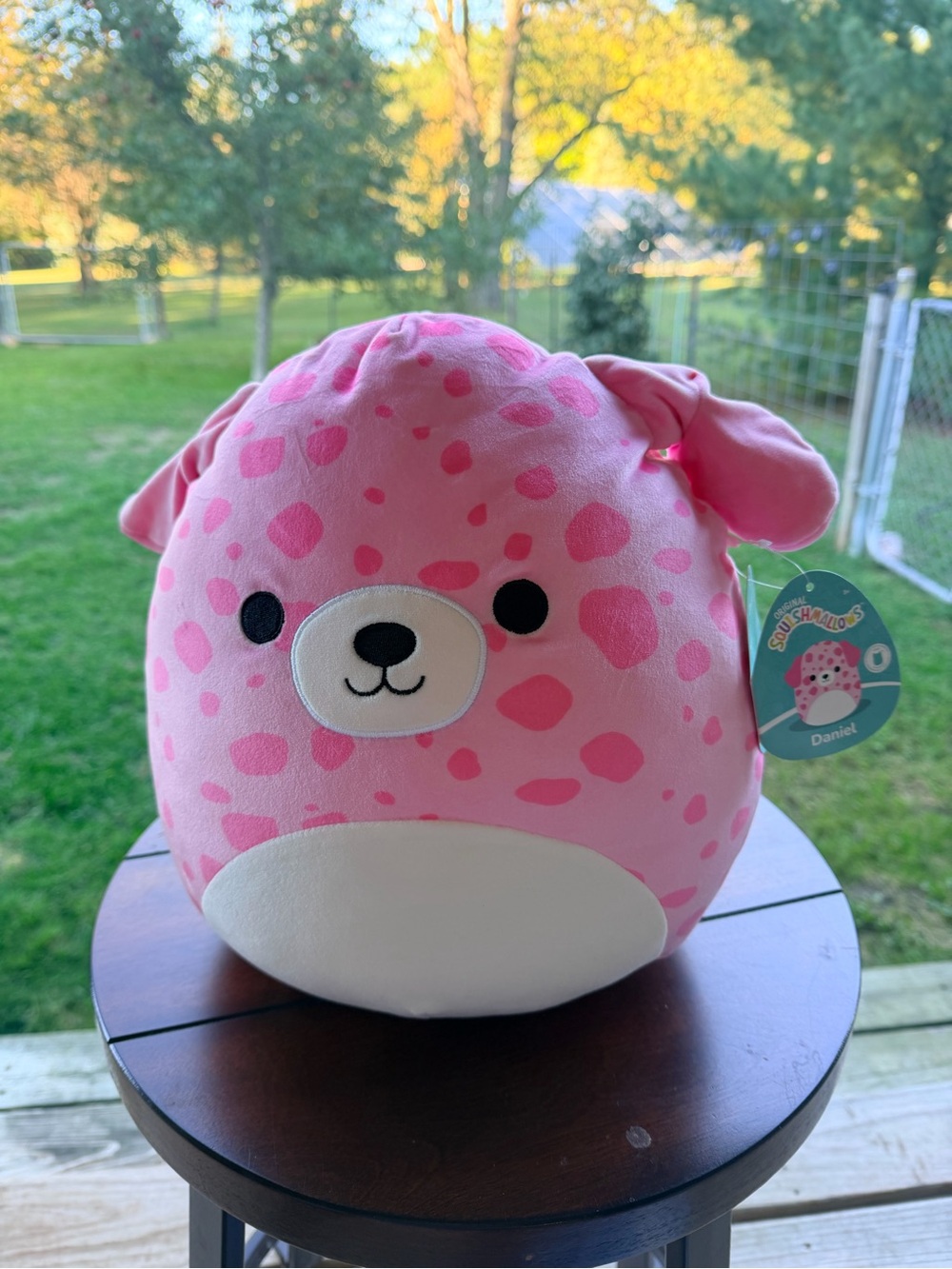 (NWT) 12-inch Daniel the Dalmatian Squishmallow!